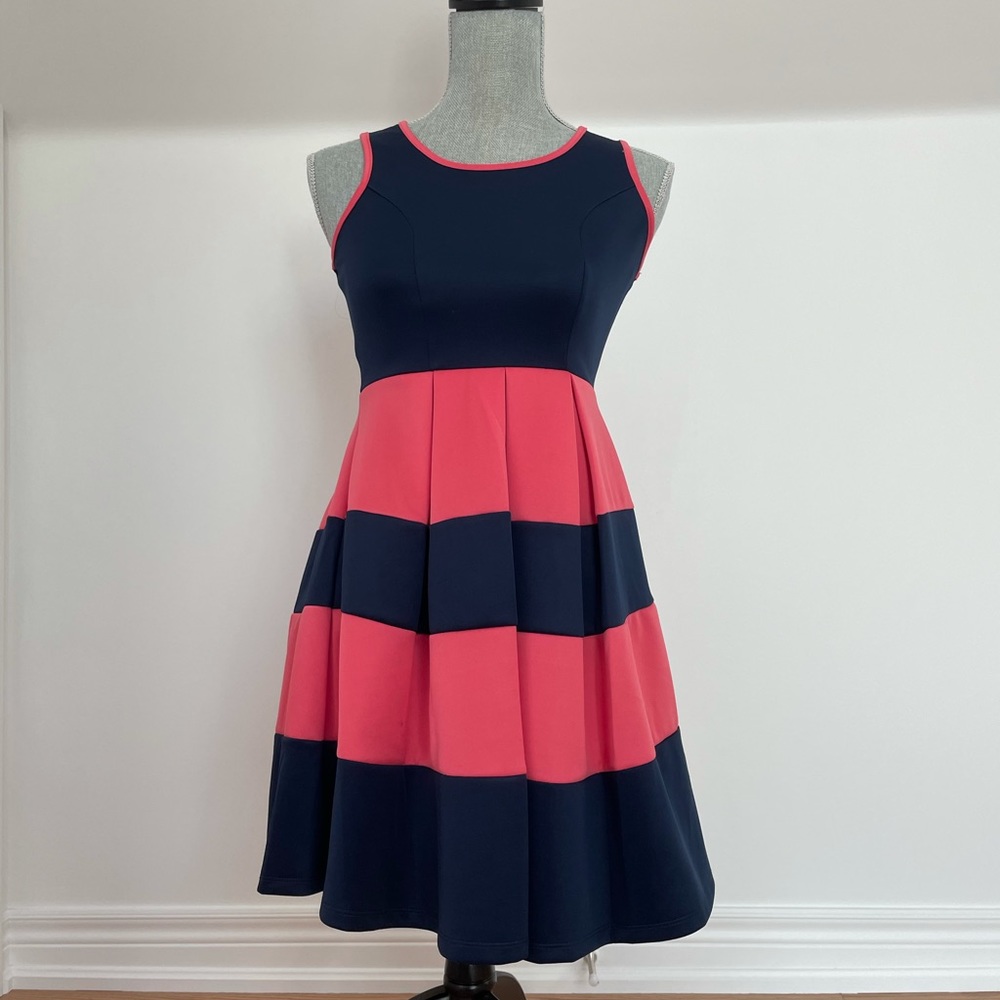 Pink and navy striped fit and flare dress